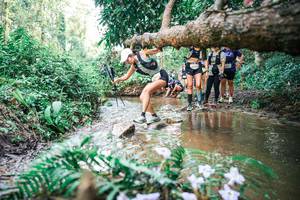 BIB: 
                            <button type="button" onclick="openModal(25515744)" class="btn btn-primary btn-sm float-right btn-popup" data-toggle="modal" data-target=".modal-high-quality">
                        <i class="fas fa-shopping-cart"></i> Add to Cart
                    </button>
                                            <button type="button" onclick="isThisMe(25515744, true)" class="btn btn-success btn-sm float-right btn-popup btn-isme hidden" data-toggle="tooltip" data-placement="bottom" title="นี่คือรูปของคุณใช่ไหม คลิกที่นี่เพื่อเอาเข้าอัลบั้ม">
                        <i class="fas fa-plus"></i> Add to album
                    </button>
                    <button type="button" onclick="isThisMe(25515744, false)" class="btn btn-warning btn-sm float-right btn-popup btn-isnotme hidden">
                        <i class="fas fa-ban"></i> Remove from album
                    </button>